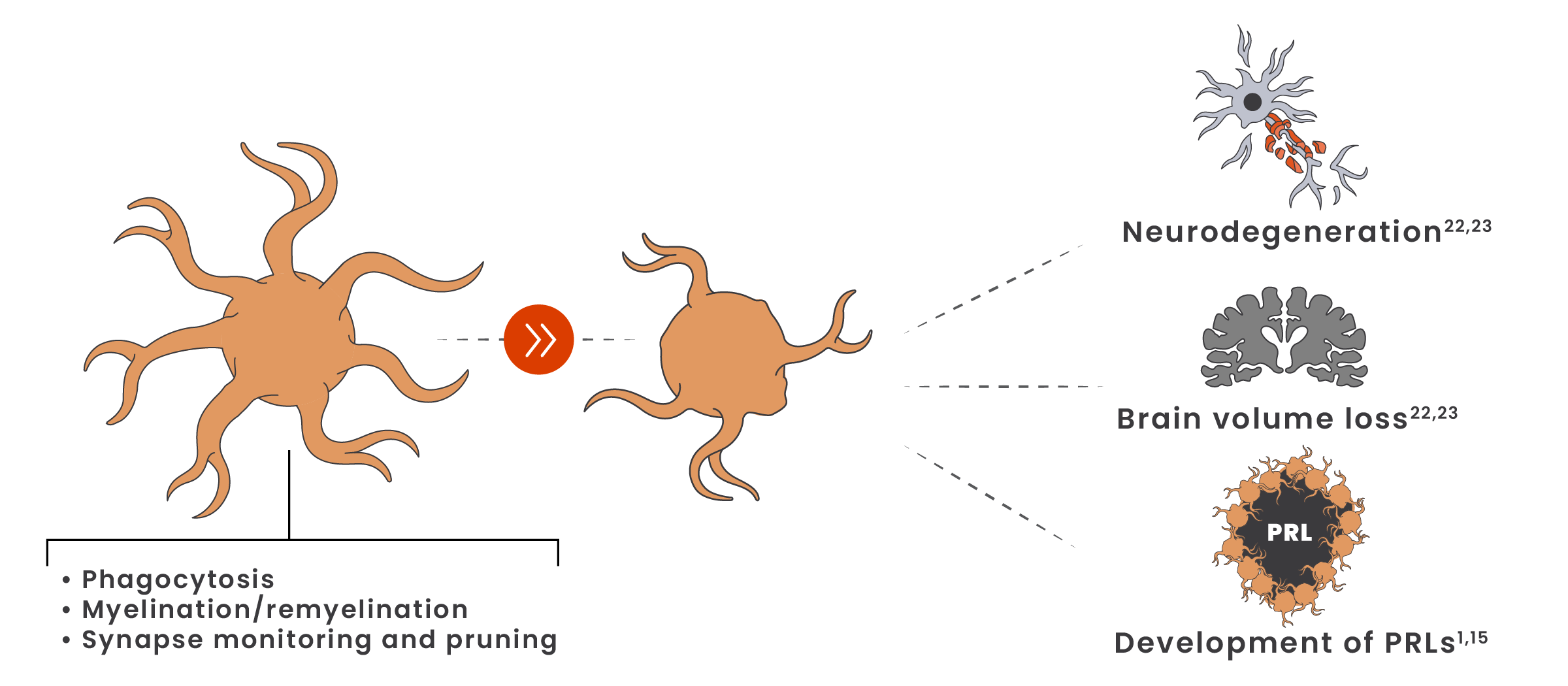 Illustration showing microglia shifting from a homeostatic to a disease-associated state